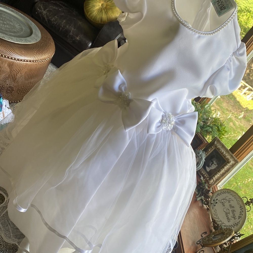 Sugar Plum Jr Bride Flower Girl Dress with Veil White Pearl Girls